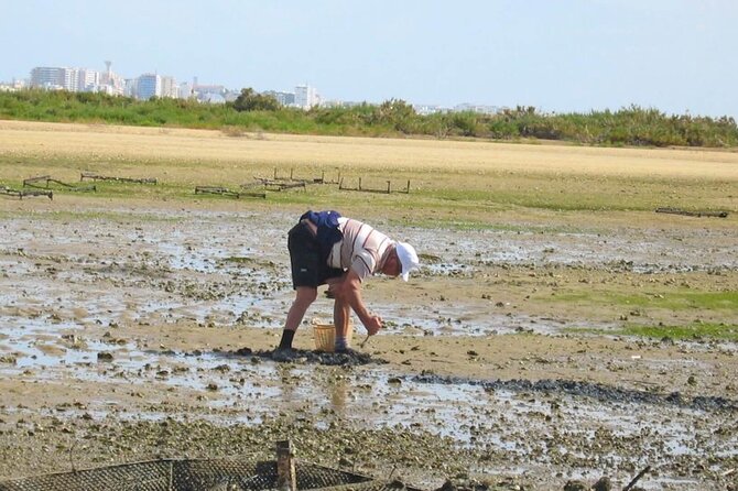 Birdwatching in Ria Formosa - Eco Boat Tour from Faro - Relaxing Return Journey with Scenic Views of Faro