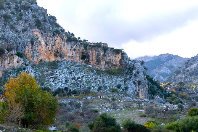 Birdwatching in Ronda and Grazalema - Key Points