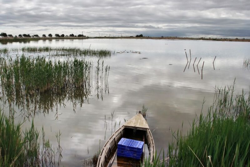 Birdwatching in the Ebro Delta - Key Points