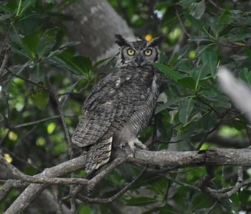 birdwatching in the nearby savannah of Palenque - Key Points