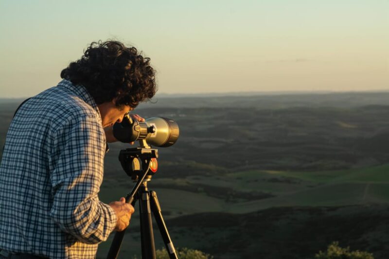 Birdwatching tour in Mértola and Castro Verde region - Starting Point and Private Transport to Guadiana Valley Natural Park
