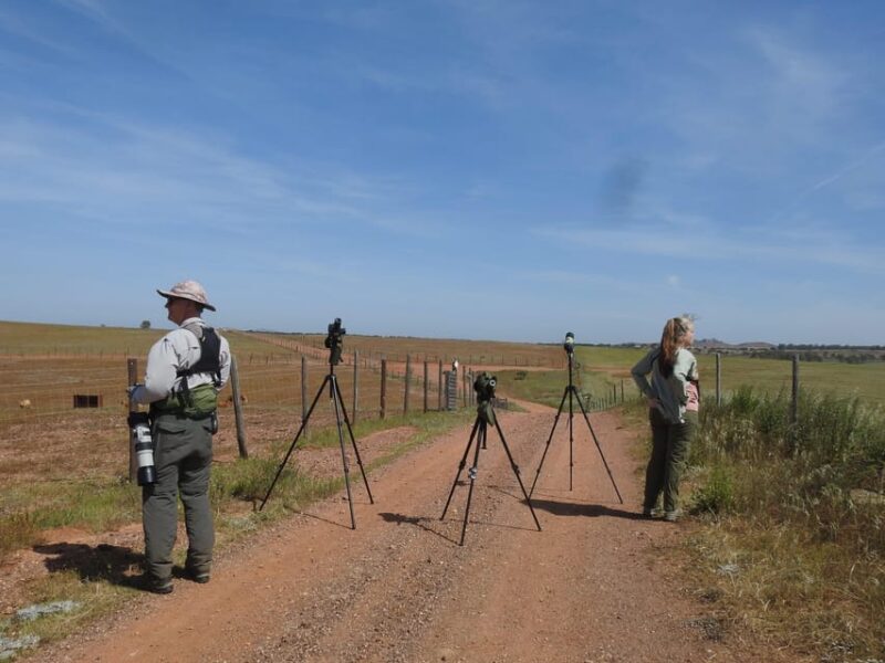 Birdwatching tour in Mértola and Castro Verde region - How This Tour Compares to Other Experiences