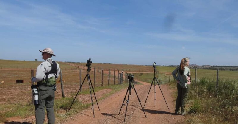 Birdwatching tour in Mértola and Castro Verde region - Frequently Asked Questions