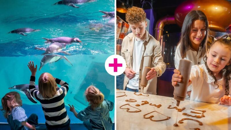 Birmingham: Cadbury World & SEA LIFE Birmingham - Key Points