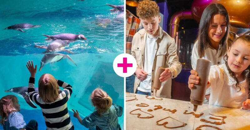 Birmingham: Cadbury World & SEA LIFE Birmingham - Final Thoughts on Birmingham’s Chocolate and Marine Adventure