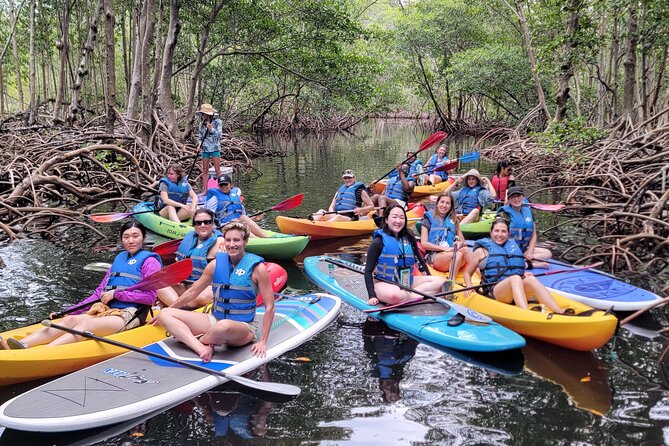 Biscayne Bay Island and Nature Exploration - Key Points