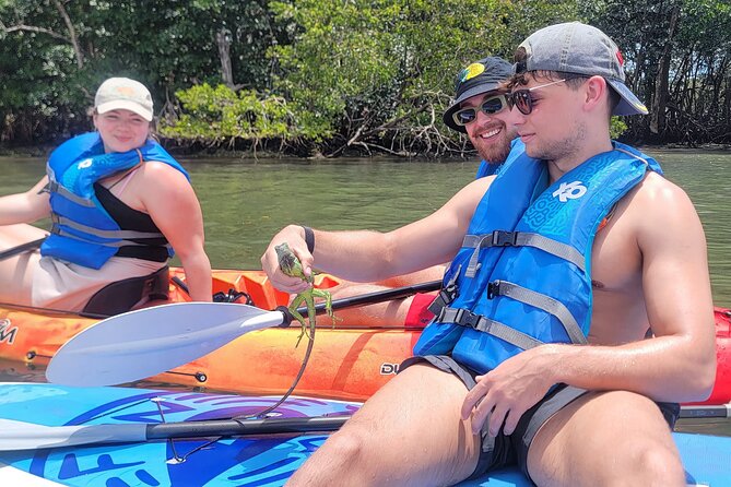 Biscayne Bay Island and Nature Exploration - Scenic Boat Tour of Biscayne Bay and Celebrity Estates