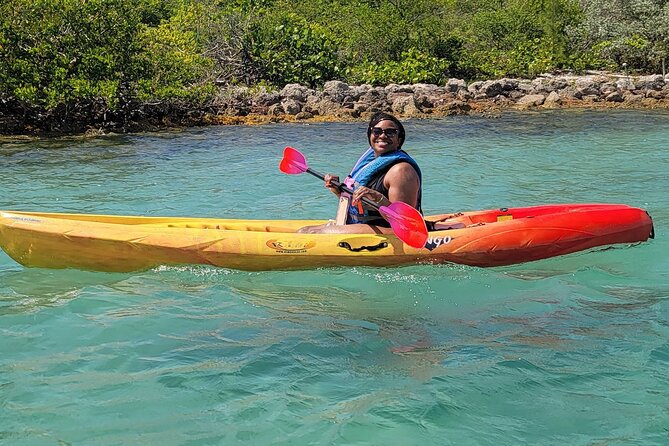 Biscayne Bay Island and Nature Exploration - Wildlife and Ecosystem Insights from the Guides