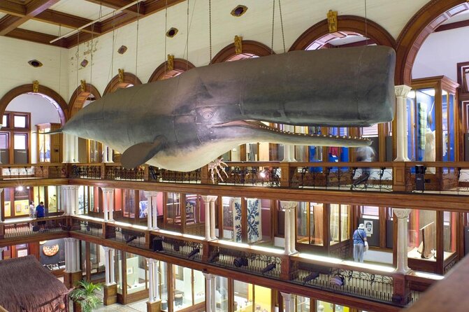 Bishop Museum General Admission Ticket - Discover the Bishop Museum in Honolulu for just $5