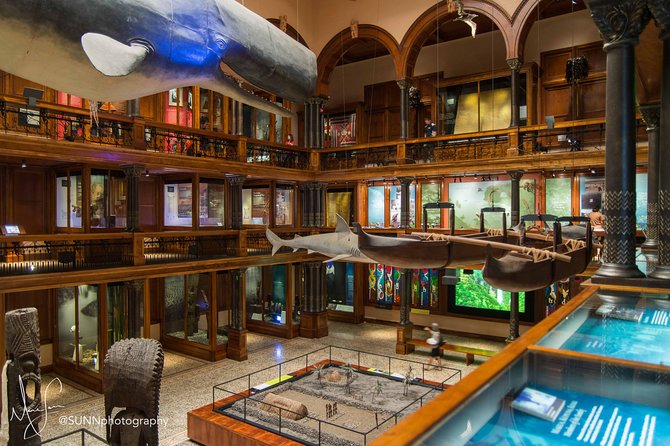 Bishop Museum General Admission Ticket - The Jhamandas Watumull Planetarium: Navigating the Skies of Hawaii