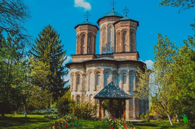 Bison Sanctuary, Vlad the Impaler Princely Court & Dracula Grave - Starting Point: Hotel Pickup in Bucharest