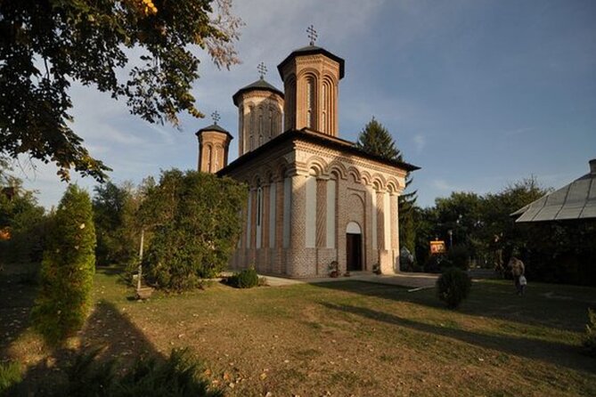 Bison Sanctuary, Vlad the Impaler Princely Court & Dracula Grave - Who Should Consider This Tour