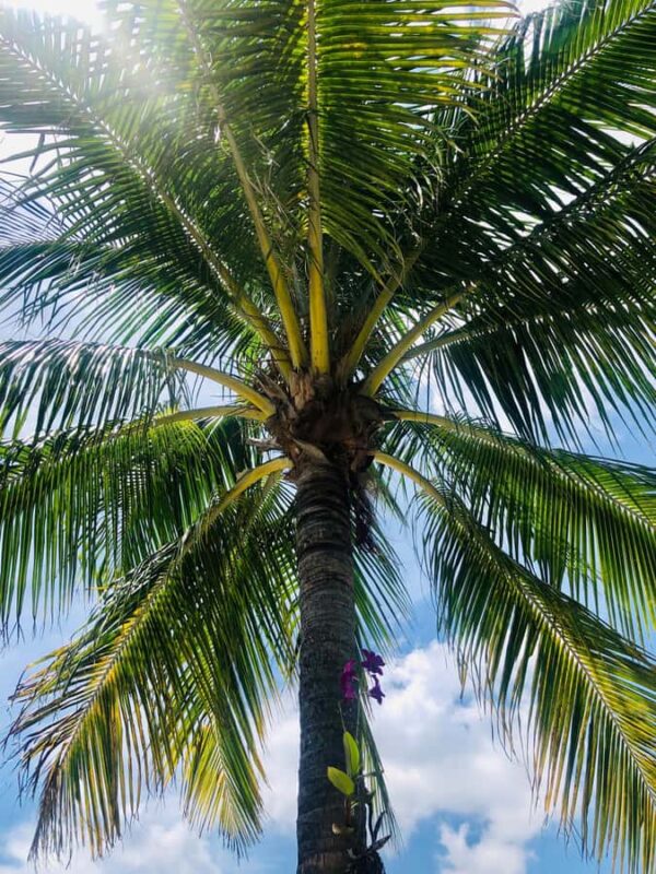 Bite of the Beach, a Lauderdale by the Sea Walking Food Tour - Practical Tips for a Smooth Experience