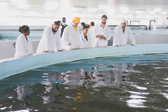 Black Caviar and Sparkling Wine Tour - What to Expect During the Tour in Tiraspol