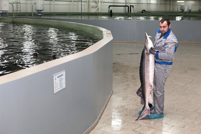 Black Caviar and Sparkling Wine Tour - The Experience of Visiting Moldova’s Black Sea Caviar Hub