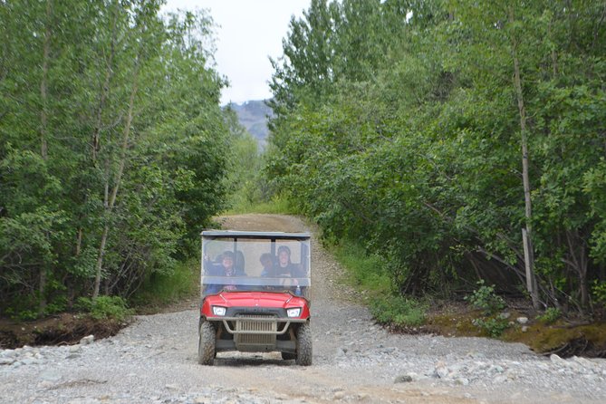 Black Diamond Treasure Hunt Excursion with Backcountry Dining - Denali National Park: The Perfect Setting for the Treasure Hunt