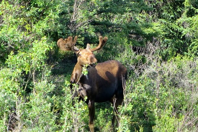 Black Diamond Treasure Hunt Excursion with Backcountry Dining - Logistics and Booking Details