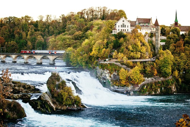 Black Forest and Rhine Falls Day Trip from Zurich - Return and End of the Tour in Zurich