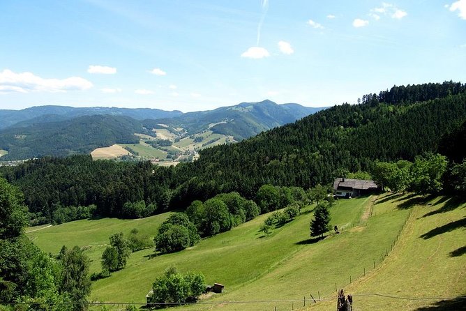 Black Forest Day Tour - Key Points