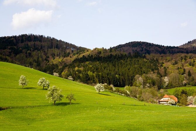 Black Forest Day Tour - Lake Mummelsee and Black Forest Cake