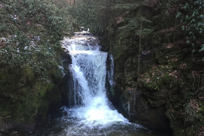 Black Forest Day Tour - Walk alongside Allerheiligen Wasserfalle Waterfall