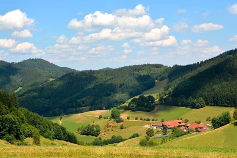 Black Forest Day Trip from Strasbourg: Baden Baden & Wine - Key Points