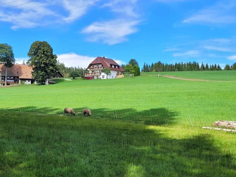 Black Forest: Ravenna Gorge Hike, Self-Guided - The Ravenna Gorge: A Classic Black Forest Walk