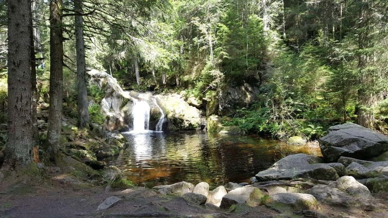 Black Forest: Ravenna Gorge Hike, Self-Guided - Visiting the Areas Largest Cuckoo Clock and Local Highlights