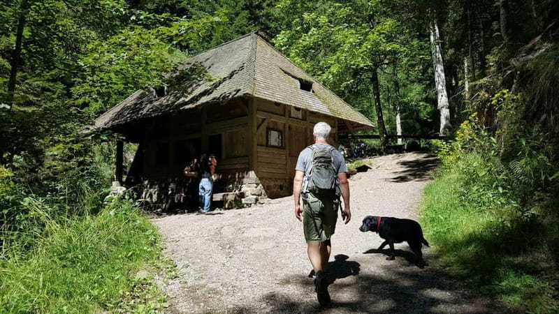 Black Forest: Ravenna Gorge Hike, Self-Guided - Frequently Asked Questions