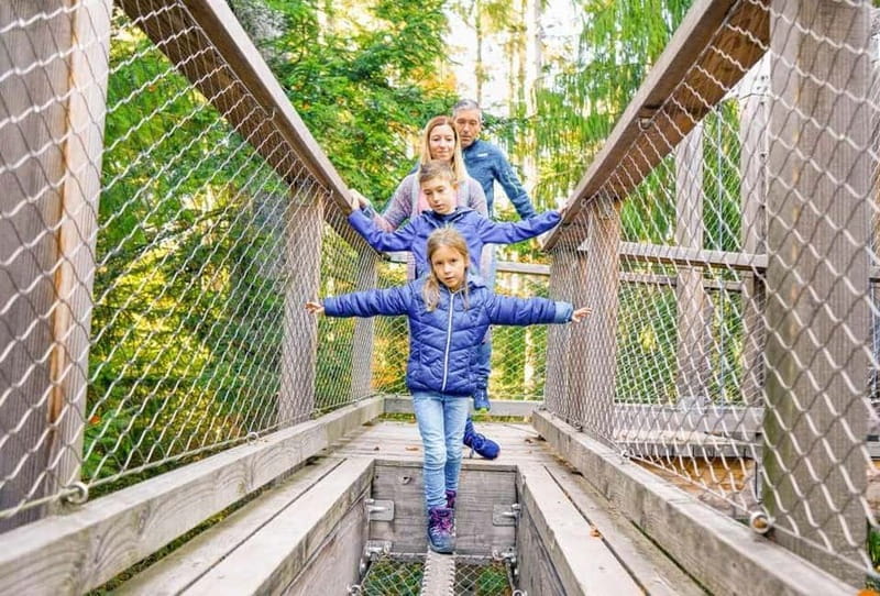 Black Forest: Treetop Walk & Lookout Tower Experience - Black Forest: Treetop Walk & Lookout Tower Experience — An Elevated Adventure in Baden-Württemberg