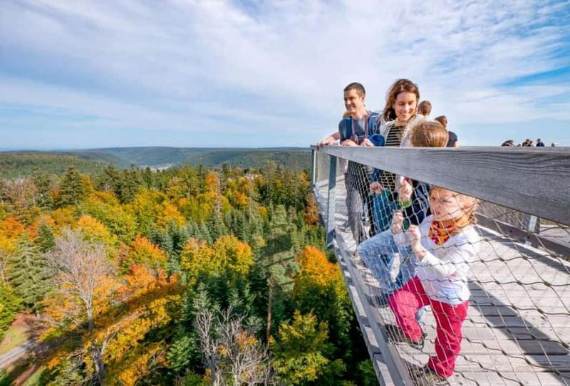 Black Forest: Treetop Walk & Lookout Tower Experience - The 40-Meter-High Lookout Tower and Panoramic Views