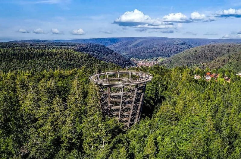 Black Forest: Treetop Walk & Lookout Tower Experience - Interactive Learning Stations and Fun Challenges