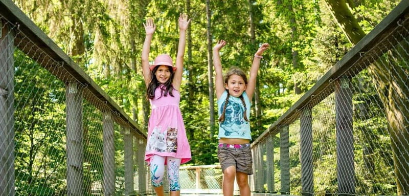 Black Forest: Treetop Walk & Lookout Tower Experience - Visiting Hours and Booking Flexibility