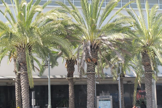 Black History Tour of South LA and Crenshaw - Key Points