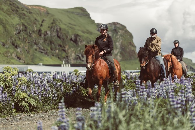 Black Sand Beach Horse Riding Tour from Vik - Discover the Black Sand Beach Horse Riding Tour from Vik