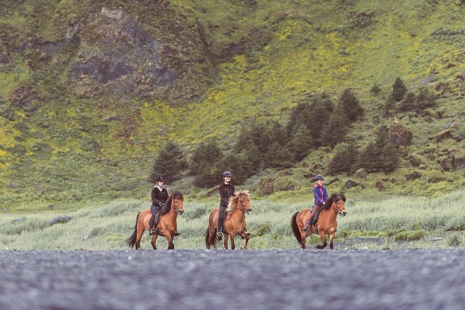 Black Sand Beach Horse Riding Tour from Vik - Practical Details: Meeting Point and Group Size