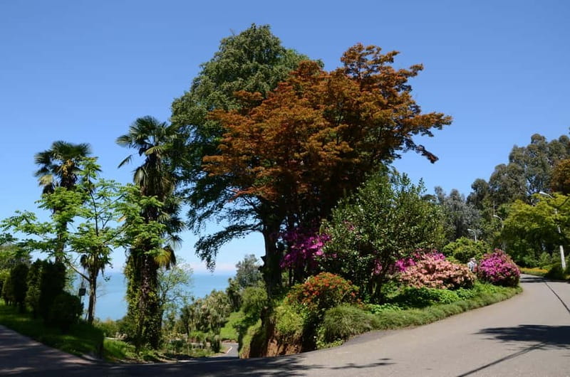 Black Sea: Magnetic Beach and Batumi Botanical Garden Tour - Staying in a Modern Villa with a Private Pool
