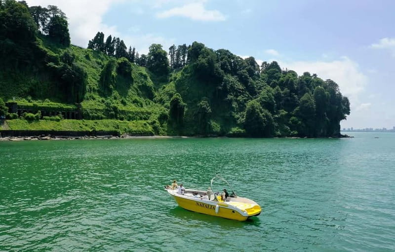 Black Sea: Magnetic Beach and Batumi Botanical Garden Tour - Exploring the Extensive Batumi Botanical Garden