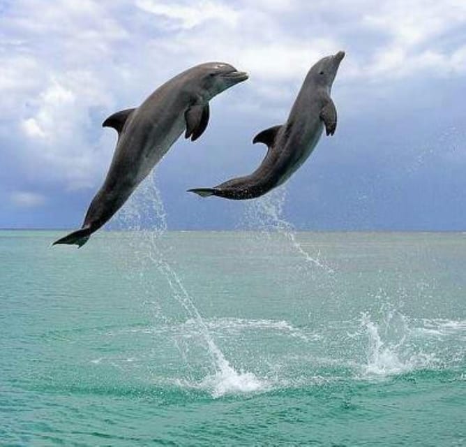 Black Sea Private Tour from Bucharest, day tour to Constanta - Additional Attractions and Experiences