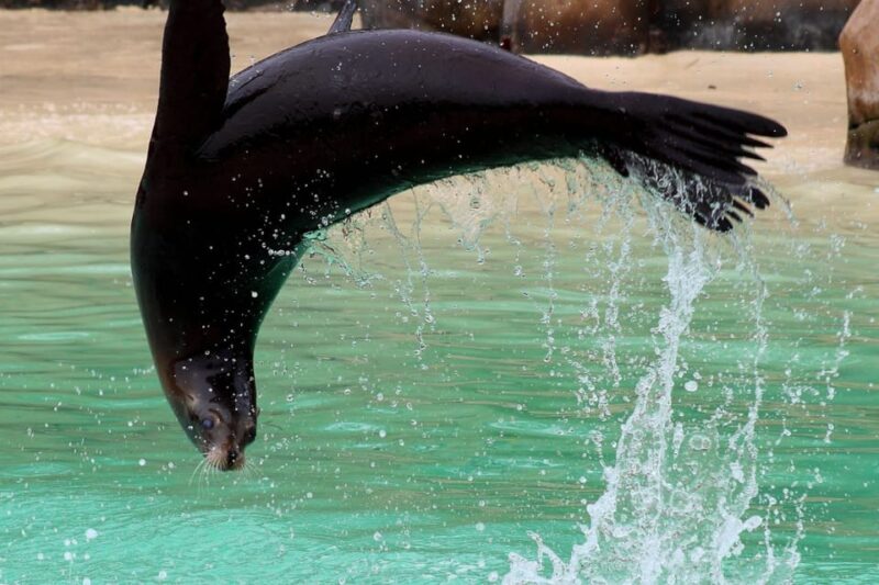 Blackpool: Zoo Admission Ticket - Daily Demonstrations, Talks, and Feeding Shows