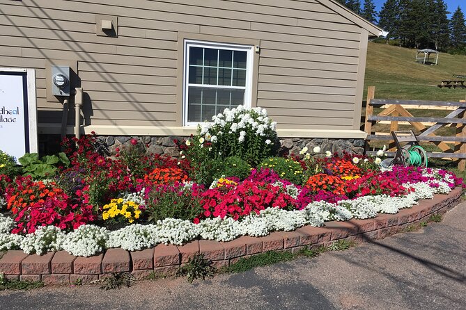 Blackwood Tours: Highland Village, Baddeck, Bell Museum Tour - Viewing the Starting Point of the Cabot Trail at Saint Ann’s Lookoff