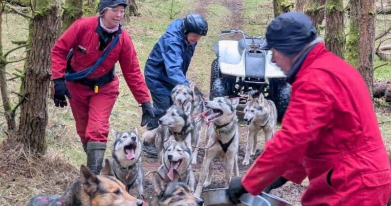 Blairgowrie: Husky Ride and Meet the Pack - The Location and Setting of Bowland Trails