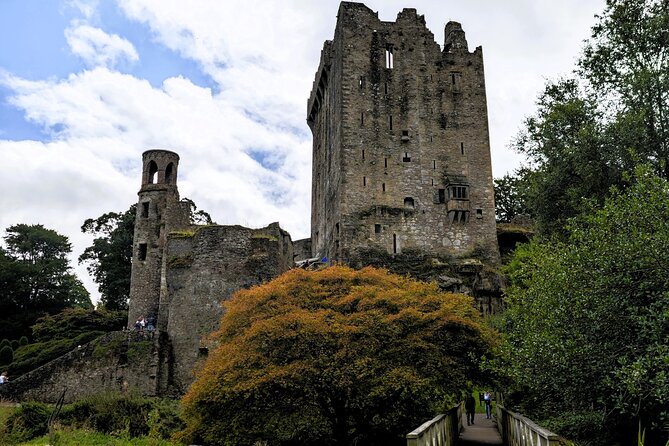 Blarney Castle and Jameson Midleton Distillery Private Day Tour - The Cost and Value of the Tour
