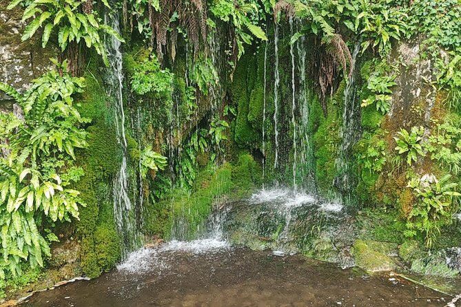 Blarney Castle Cork City and Jameson Distillery Small groups - The Jameson Distillery Experience in Midleton