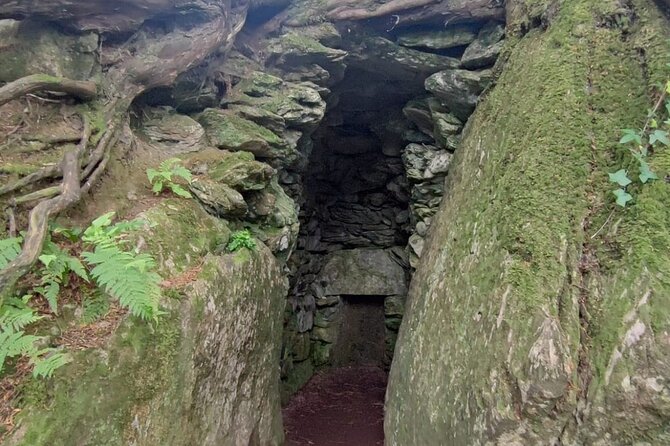 Blarney Castle Cork City and Jameson Distillery Small groups - Returning to Cobh: End of the Day