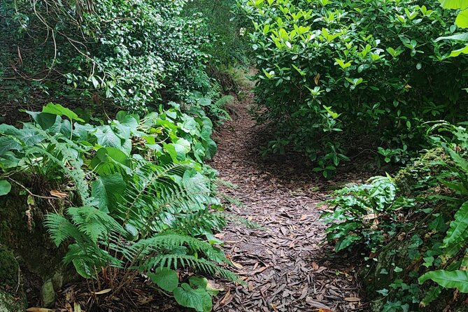 Blarney Castle Cork City and Jameson Distillery Small groups - The Quality of Guides and Overall Service