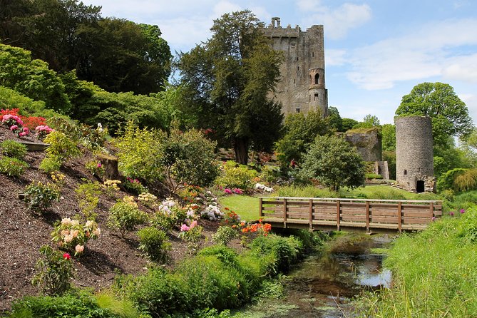 Blarney, Rock of Cashel & Cahir Castles Day Tour From Dublin - The Guide and Overall Experience