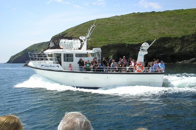 Blasket Island Eco Tour. - Explore the Spectacular Marine Wildlife and Coastal Views of the Blasket Islands