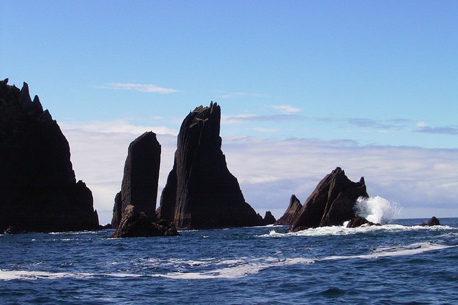Blasket Island Eco Tour. - Comparing This Tour to Similar Experiences