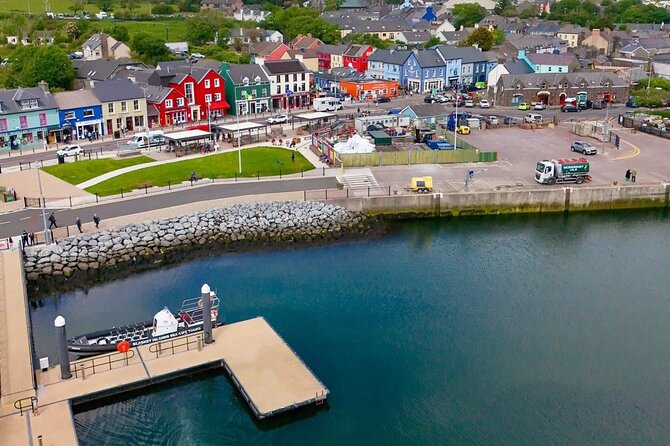 Blasket Island Sea Life Rib Tour, - The Experience Led by David and Nathan